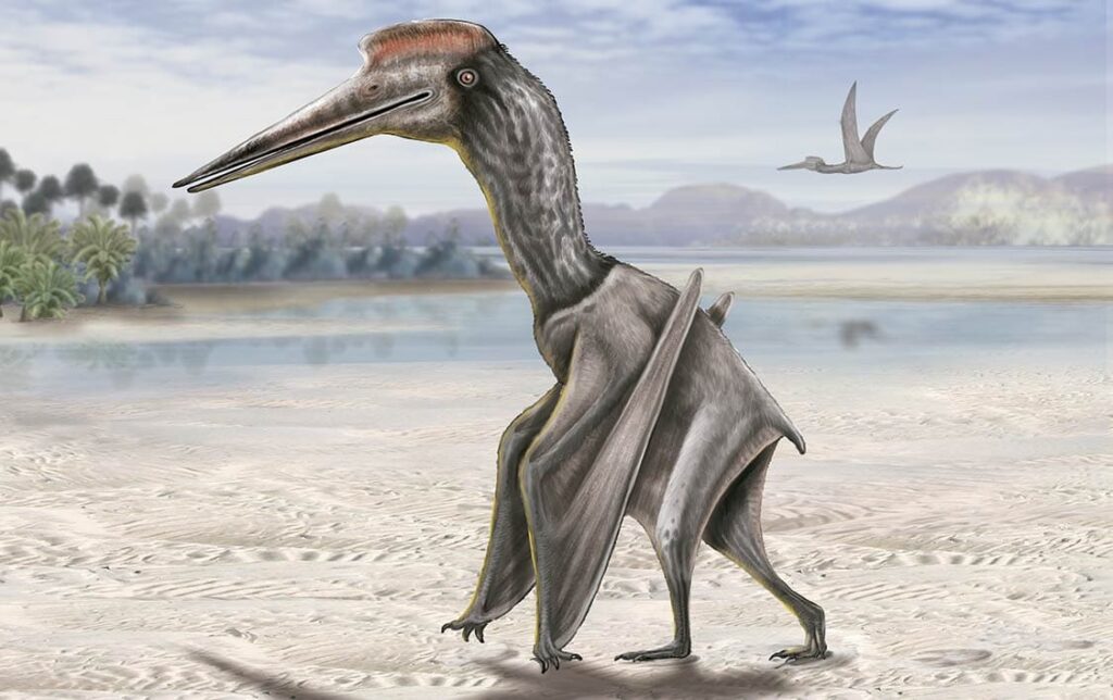 Quetzalcoatlus