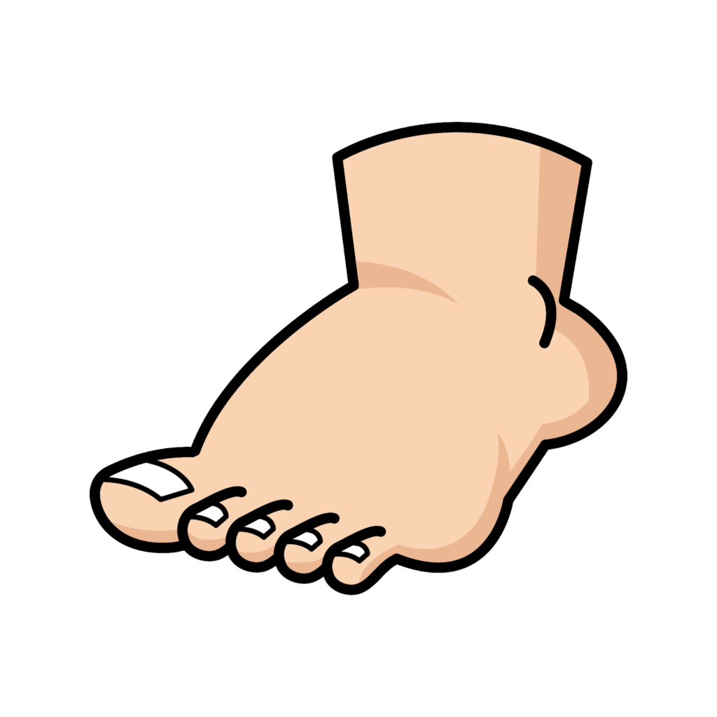 Illustrating Cartoon Feet: A Comprehensive Guide