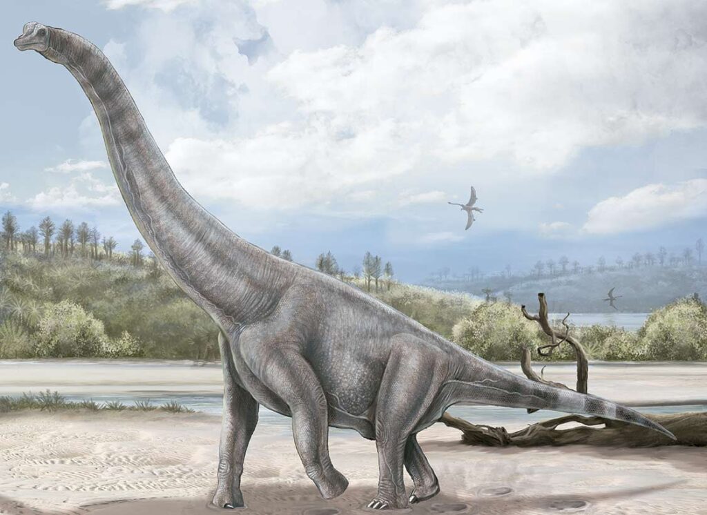 Brachiosaurus