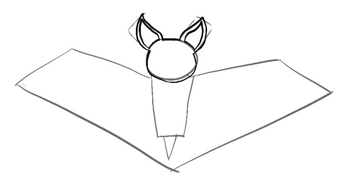 Drawn head and ears