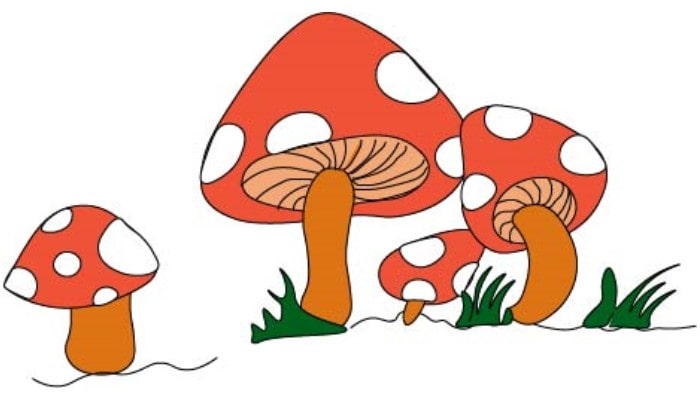 Cartoon Mushrooms