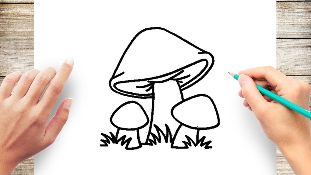 Fun Fungi: Drawing Cartoon Mushrooms Made Easy