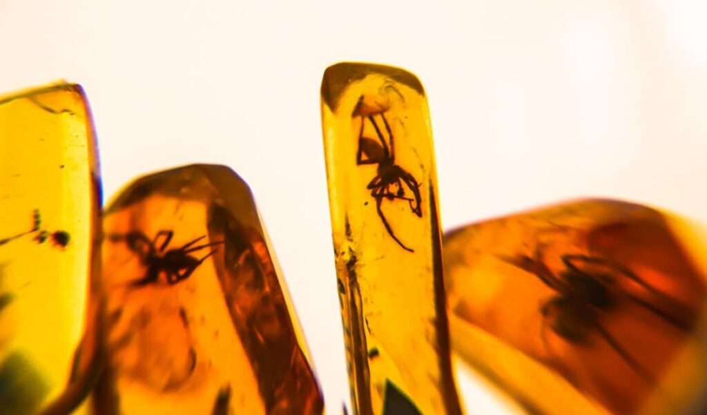 Sketching Jurassic: Cartoon Insect in Amber