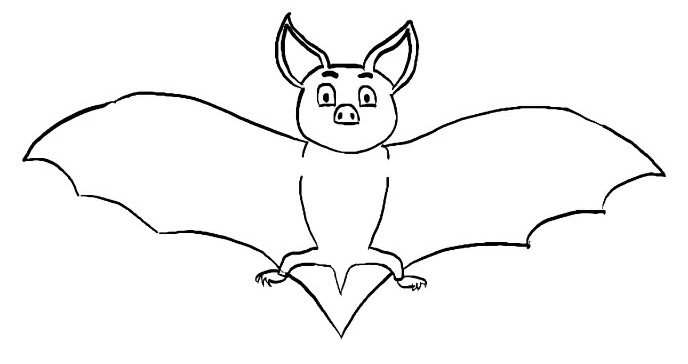 Drawn body and wings of a bat